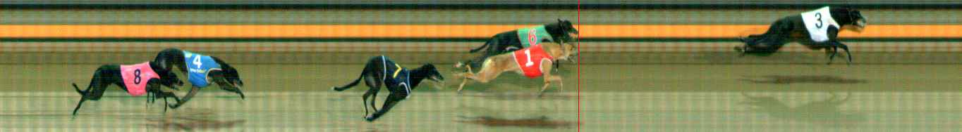 Photo finish for Ballarat Race 9