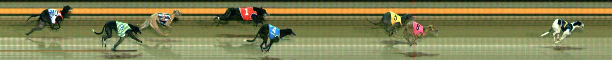 Photo finish for Ballarat Race 10