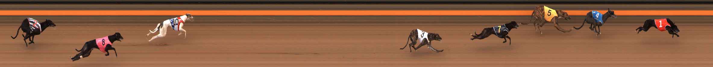 Photo finish for Ballarat Race 1