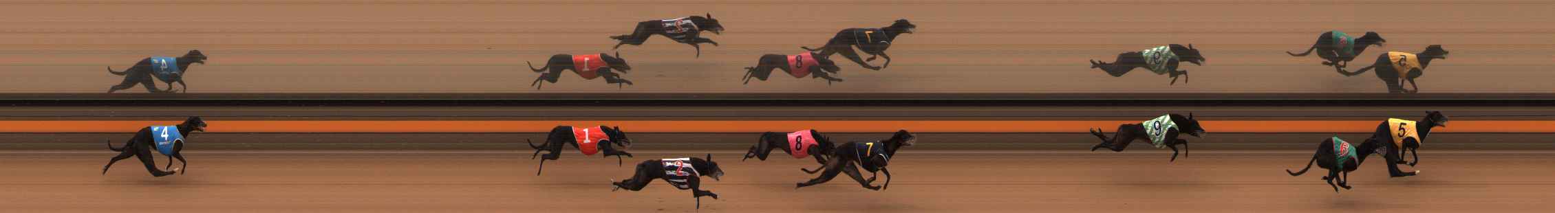 Photo finish for Ballarat Race 2