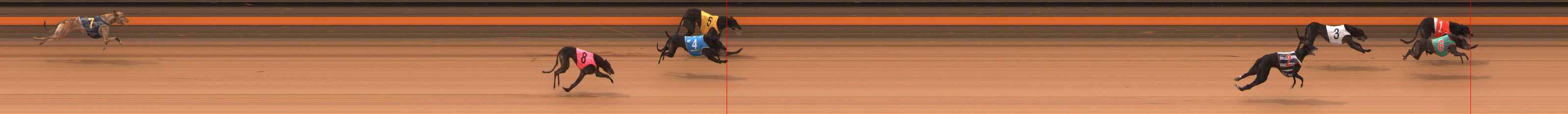 Photo finish for Ballarat Race 3