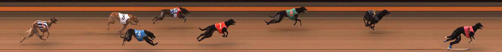 Photo finish for Ballarat Race 6