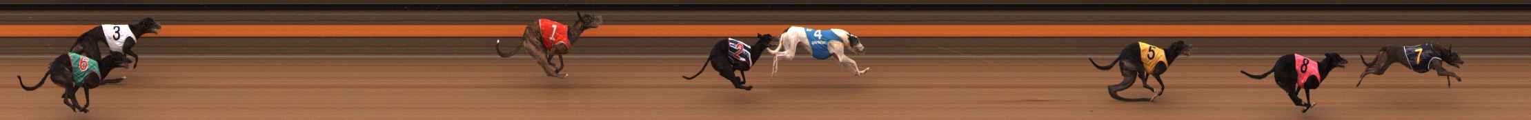 Photo finish for Ballarat Race 7
