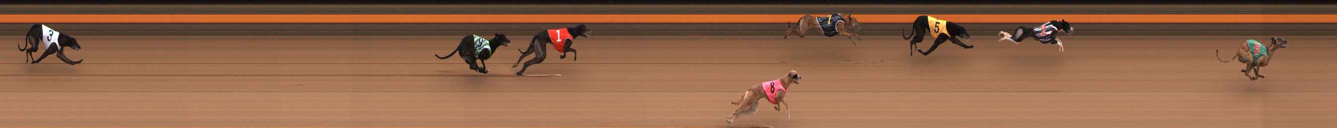 Photo finish for Ballarat Race 10