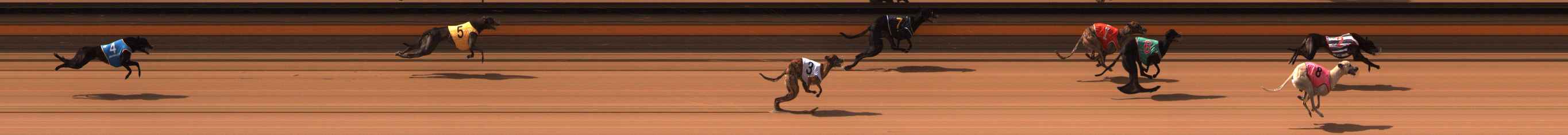 Photo finish for Ballarat Race 2