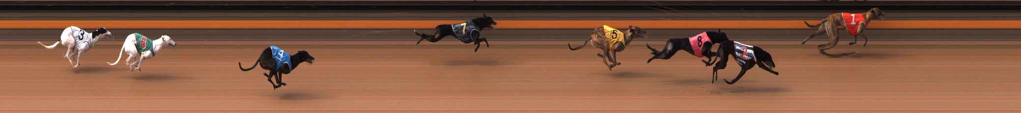 Photo finish for Ballarat Race 4