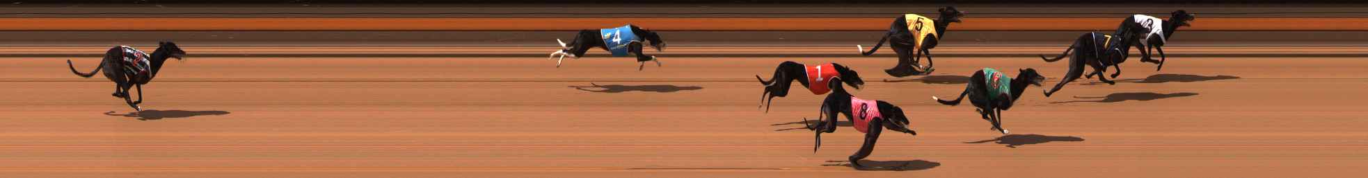 Photo finish for Ballarat Race 5