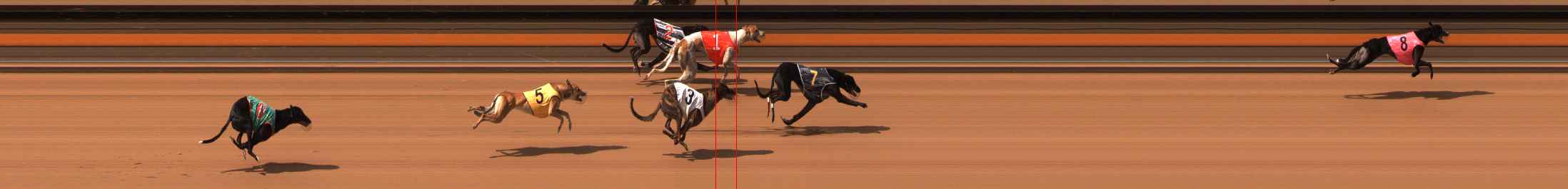Photo finish for Ballarat Race 6
