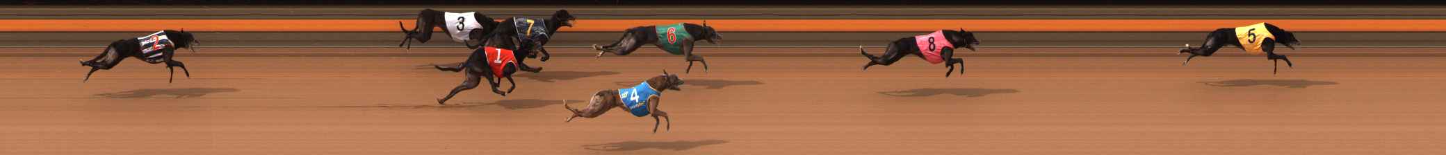 Photo finish for Ballarat Race 7