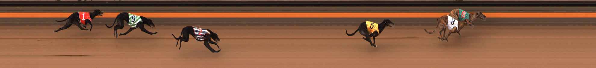 Photo finish for Ballarat Race 8