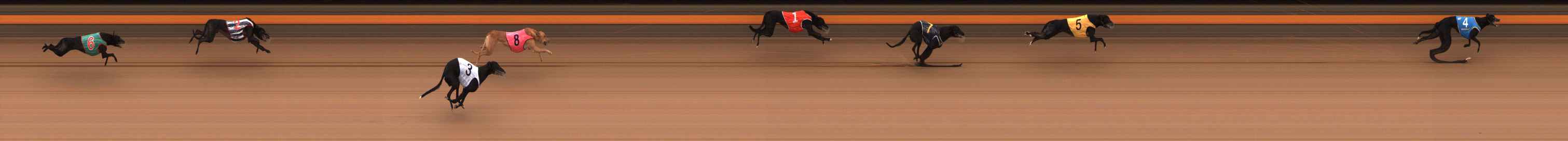 Photo finish for Ballarat Race 9