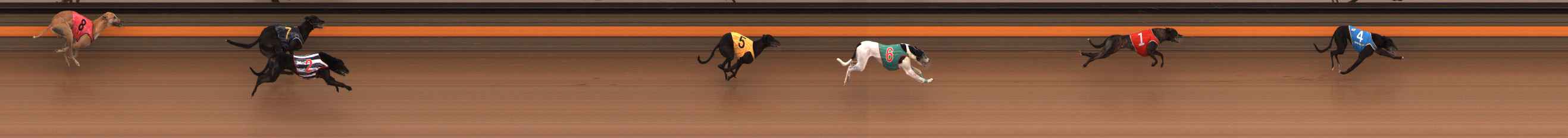 Photo finish for Ballarat Race 10