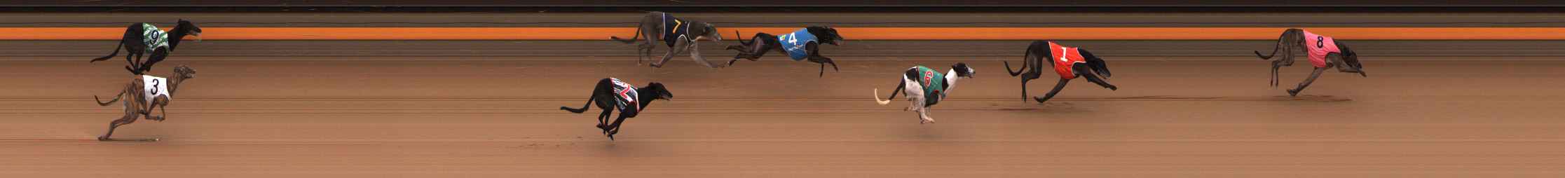 Photo finish for Ballarat Race 11