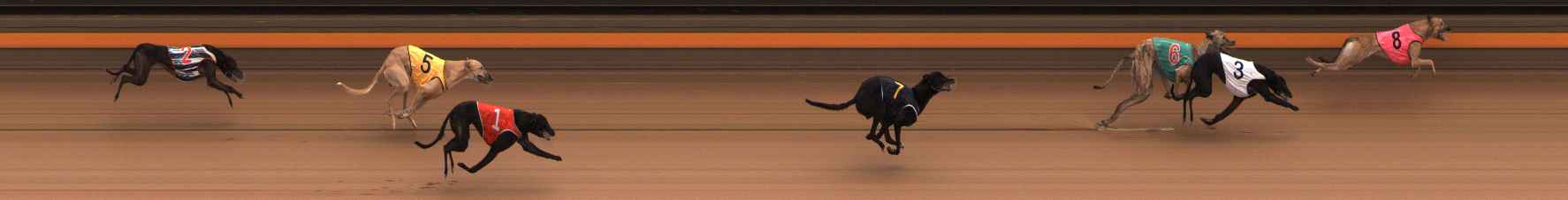 Photo finish for Ballarat Race 6