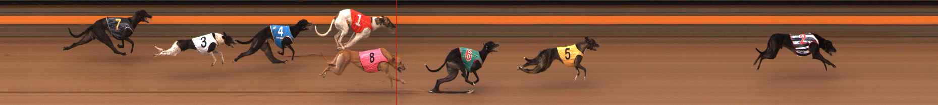 Photo finish for Ballarat Race 8