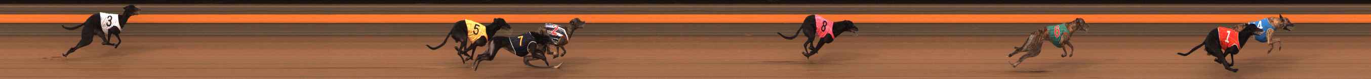 Photo finish for Ballarat Race 10
