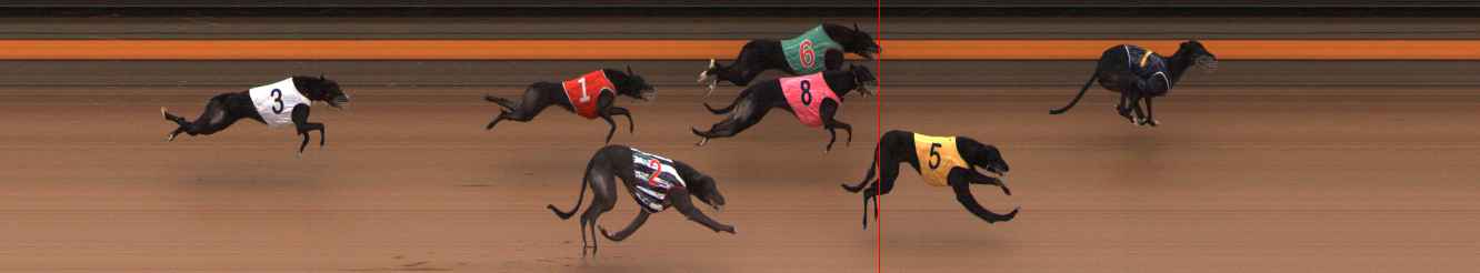 Photo finish for Ballarat Race 12