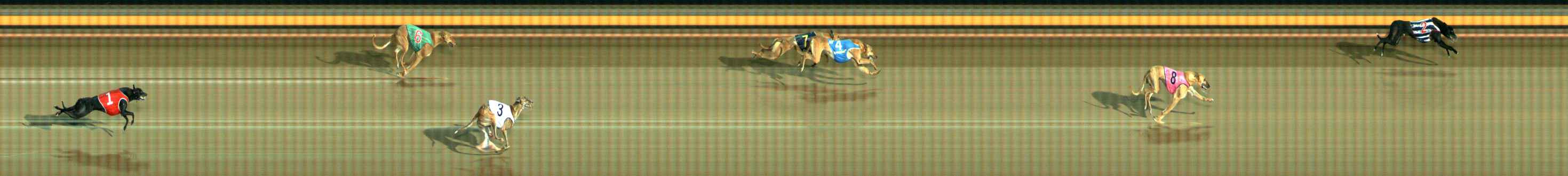 Photo finish for Ballarat Race 1