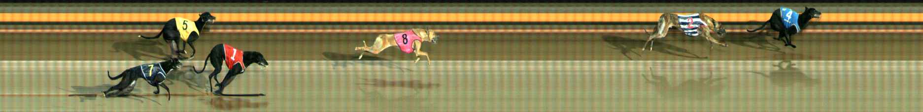 Photo finish for Ballarat Race 3