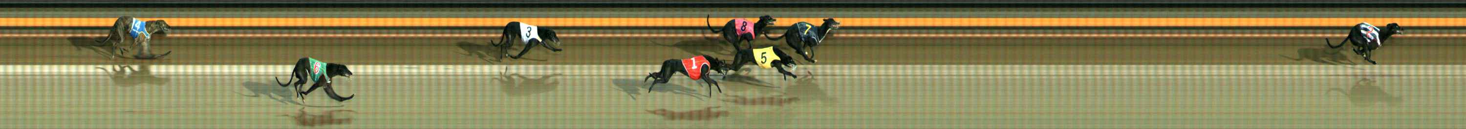 Photo finish for Ballarat Race 4