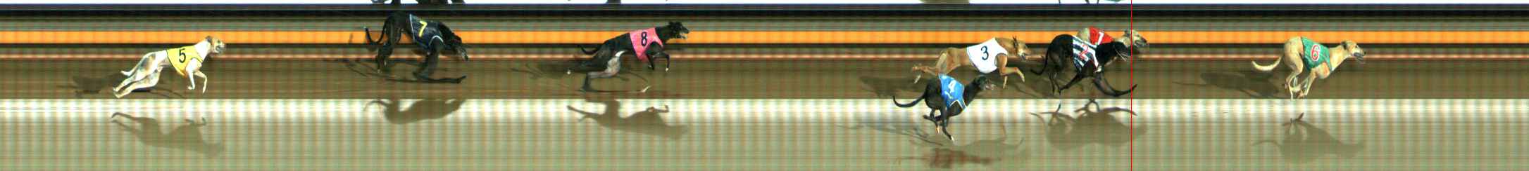 Photo finish for Ballarat Race 5