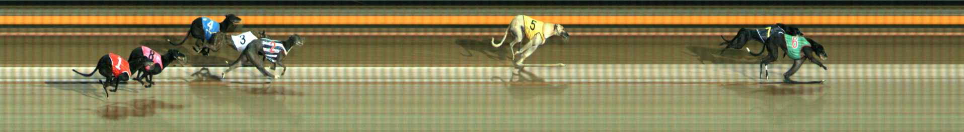 Photo finish for Ballarat Race 6