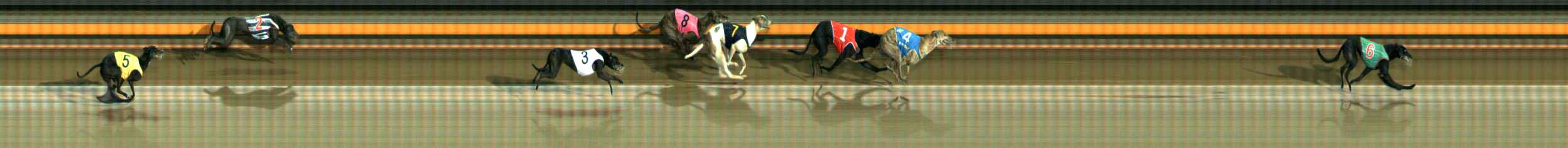 Photo finish for Ballarat Race 7