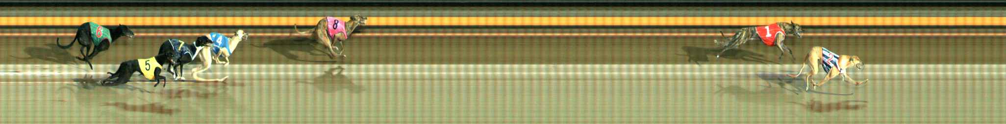 Photo finish for Ballarat Race 8