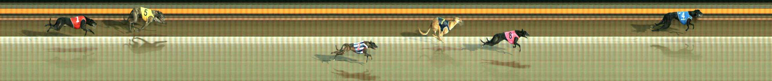 Photo finish for Ballarat Race 9