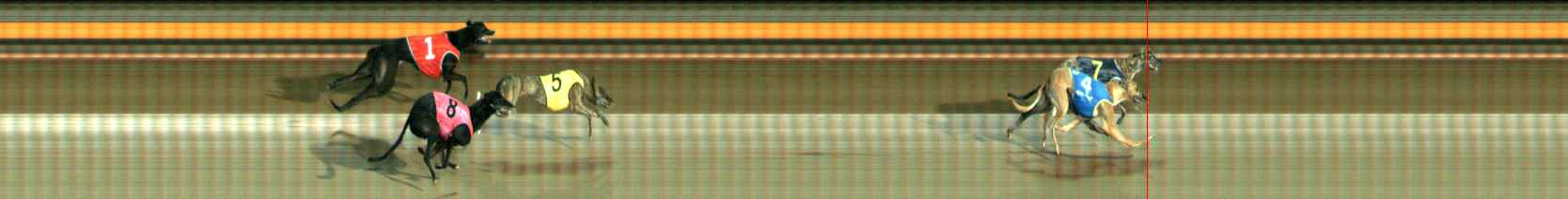 Photo finish for Ballarat Race 10