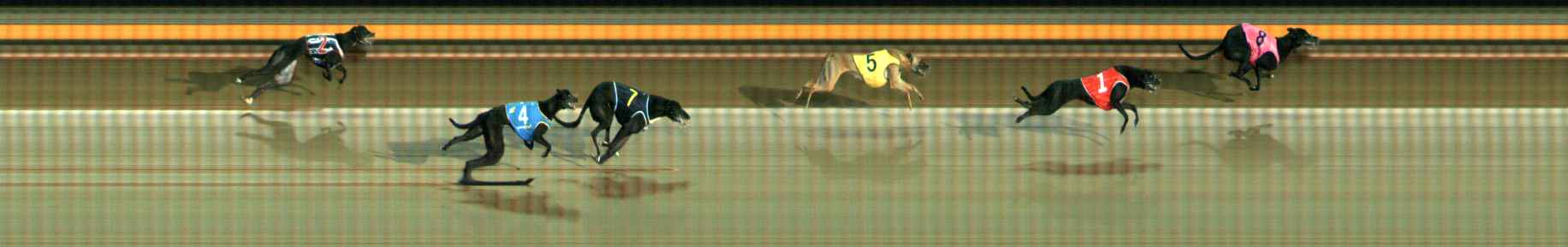Photo finish for Ballarat Race 11