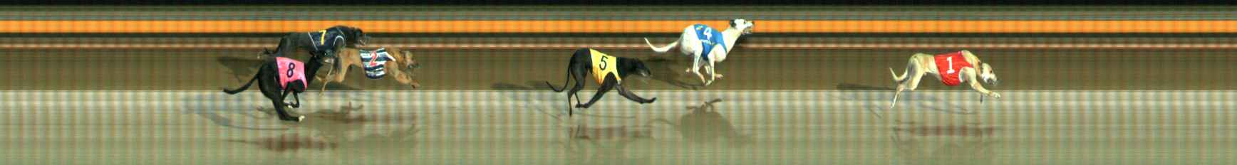 Photo finish for Ballarat Race 12