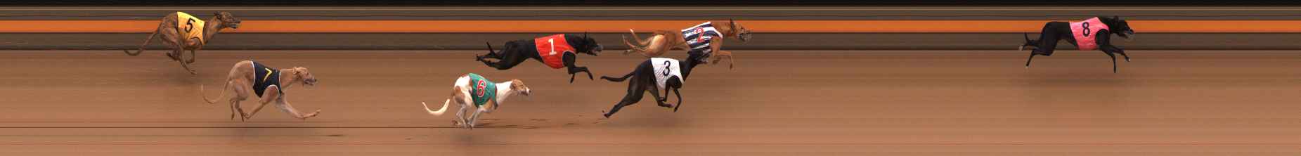 Photo finish for Ballarat Race 1