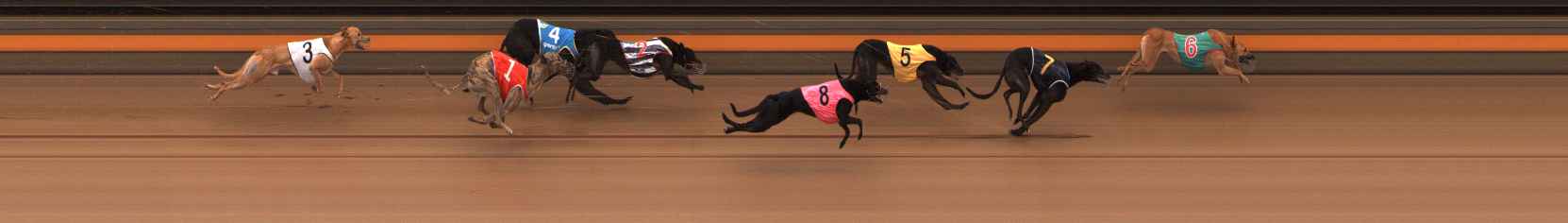 Photo finish for Ballarat Race 2