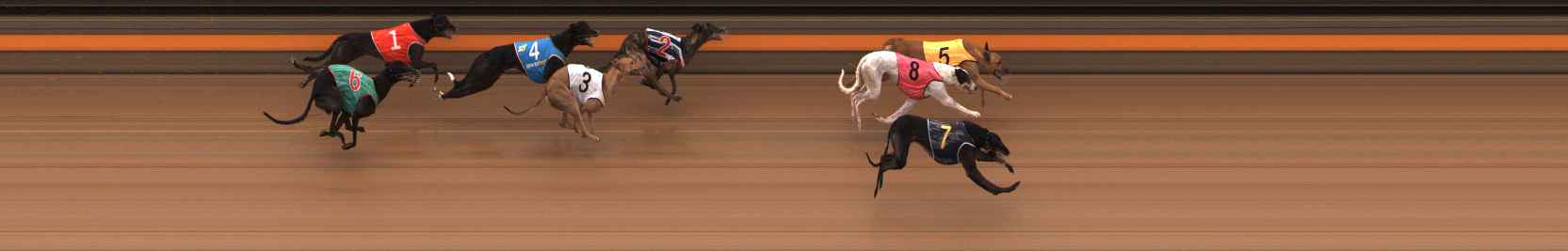 Photo finish for Ballarat Race 5