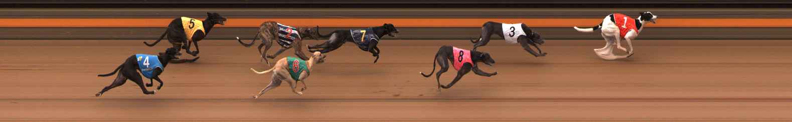 Photo finish for Ballarat Race 6