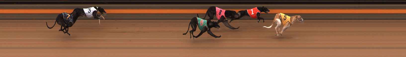 Photo finish for Ballarat Race 8