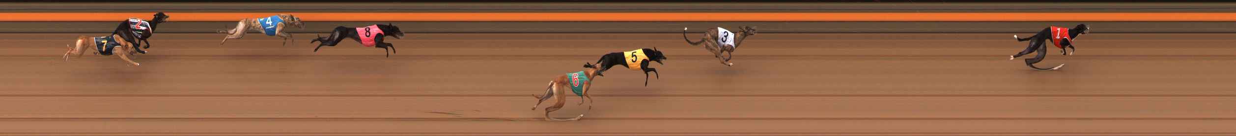 Photo finish for Ballarat Race 10