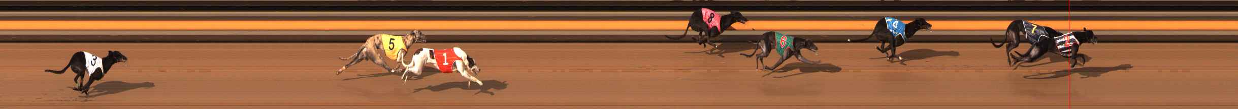 Photo finish for Ballarat Race 11