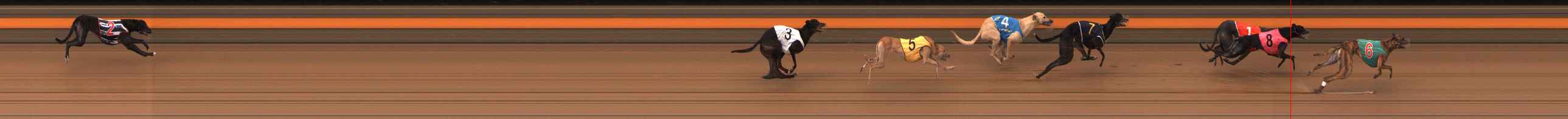 Photo finish for Ballarat Race 12