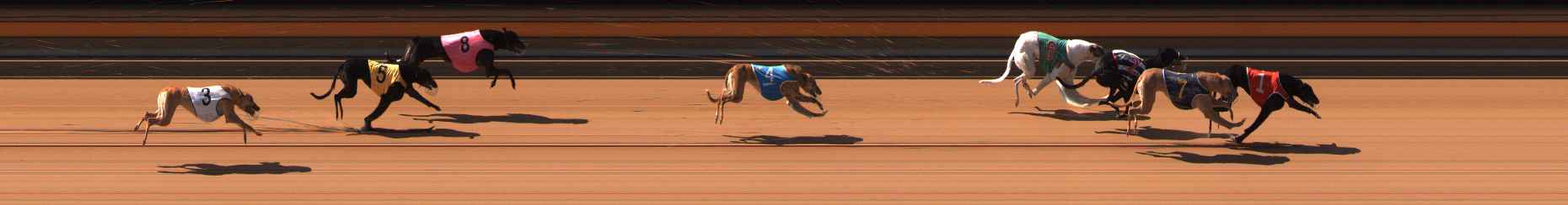 Photo finish for Ballarat Race 1