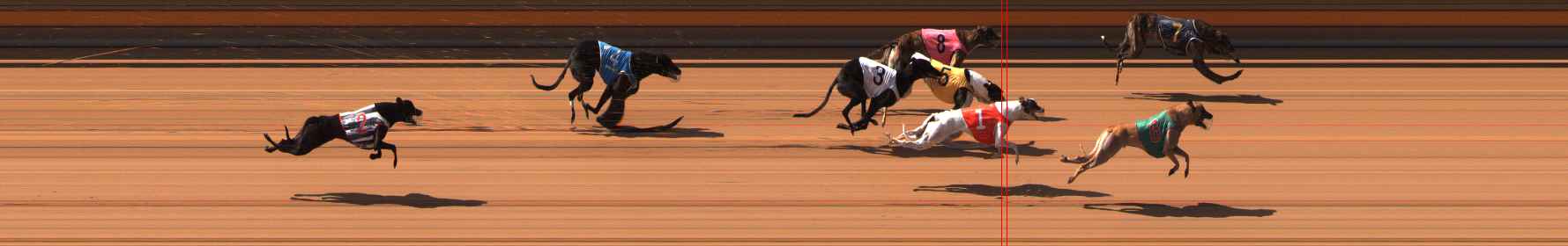 Photo finish for Ballarat Race 2
