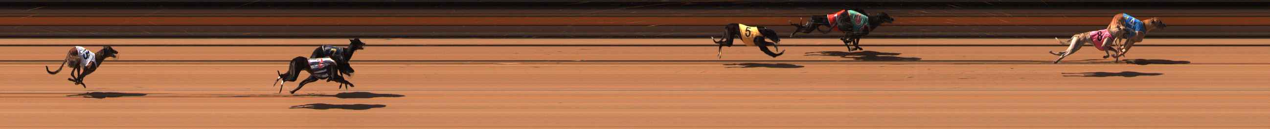 Photo finish for Ballarat Race 3