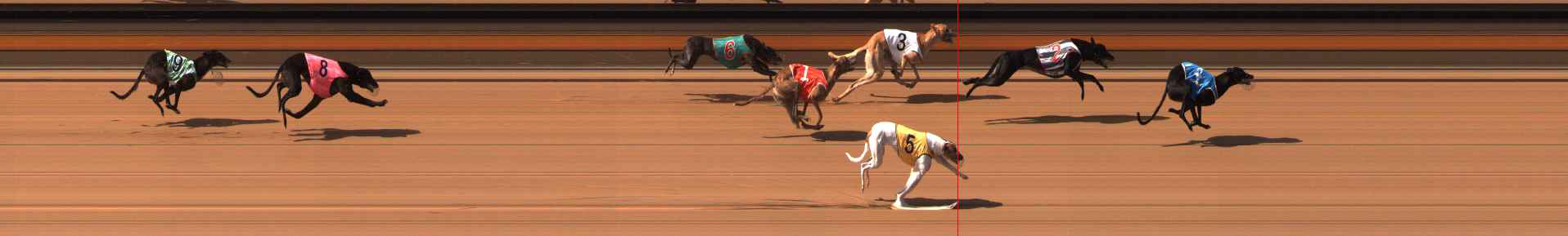 Photo finish for Ballarat Race 5