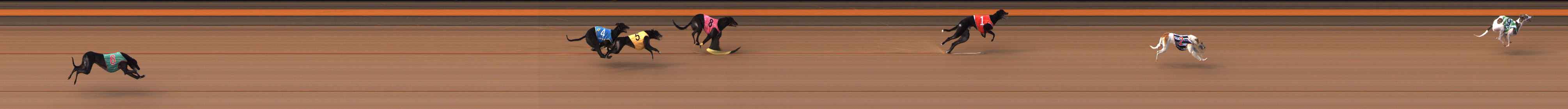 Photo finish for Ballarat Race 6
