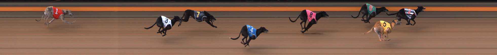 Photo finish for Ballarat Race 8