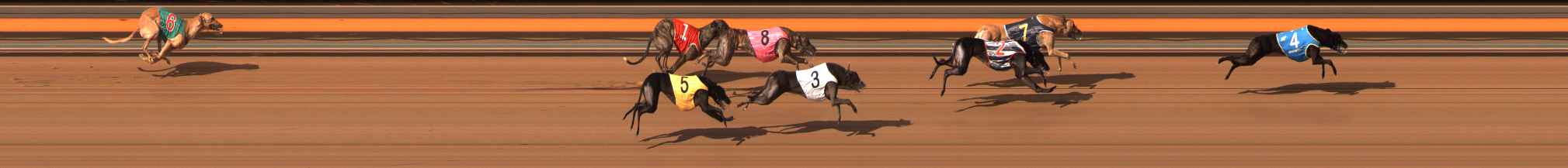 Photo finish for Ballarat Race 10