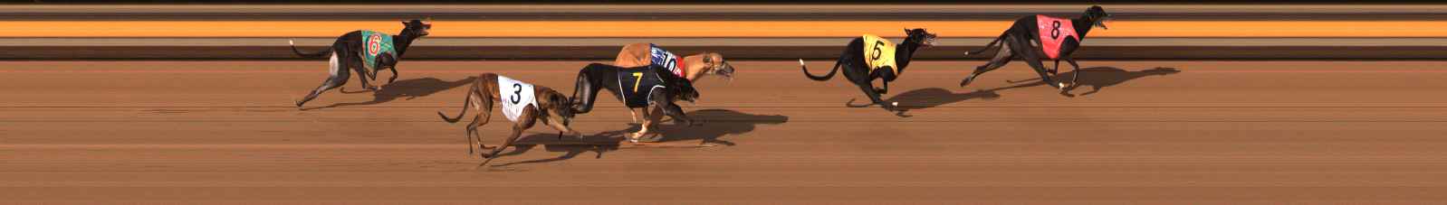 Photo finish for Ballarat Race 12