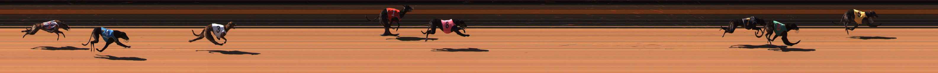 Photo finish for Ballarat Race 1