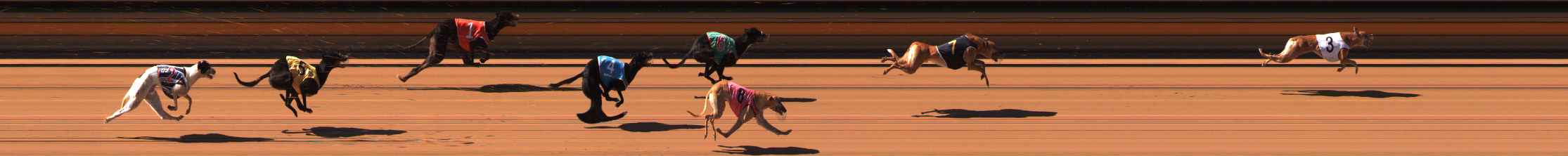 Photo finish for Ballarat Race 2
